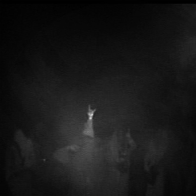 SUNN O))) - 2006.10.17, Crawdaddy, Dublin, R/o IRL