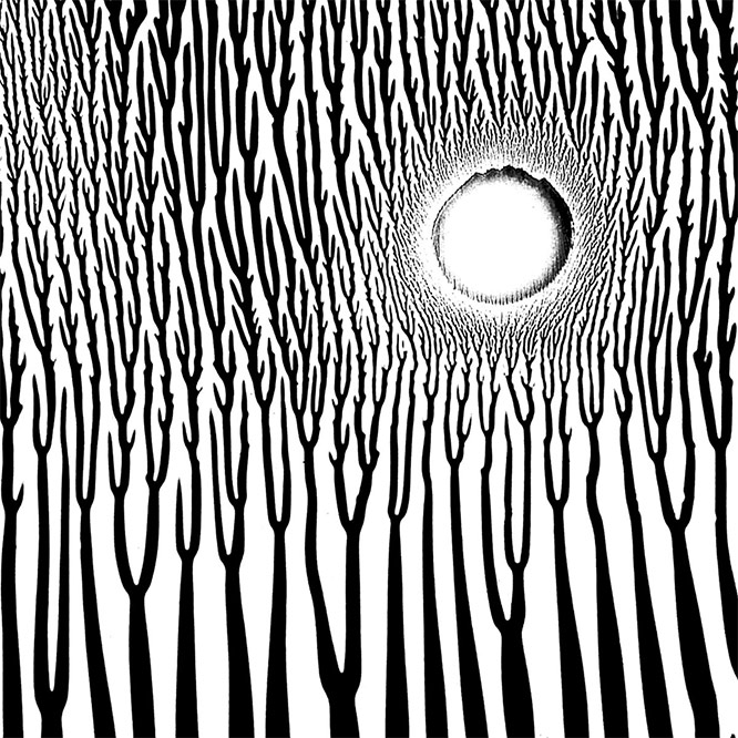 The Grimmrobe Demos // extended